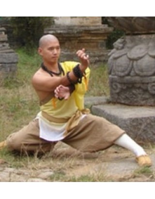 2 года продвинутой подготовки по Kung Fu | Академия Kunyu - Яньтай, Китай